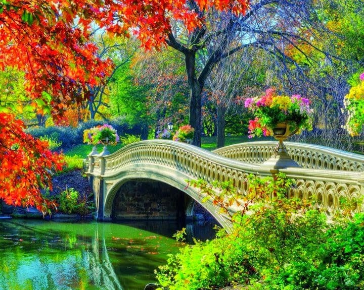 Bridge