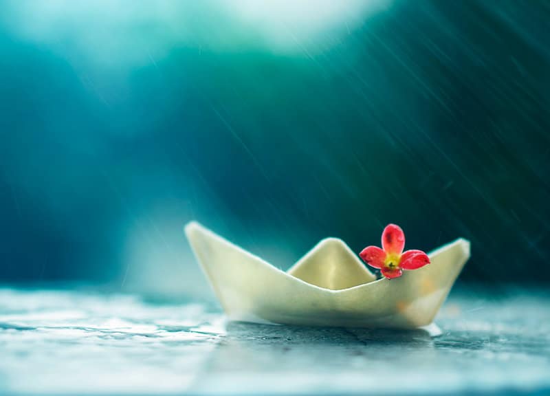Never too close – Never away ..