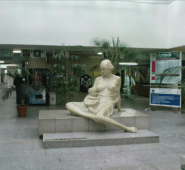 Kiedywiosna